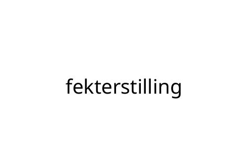 fekterstilling