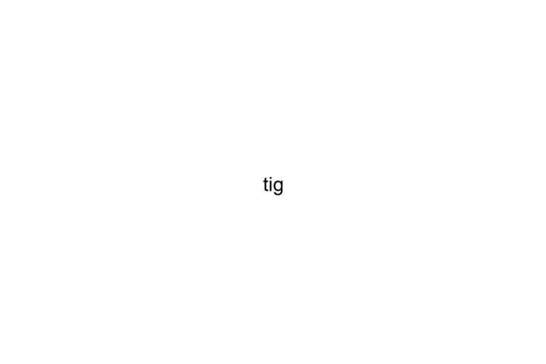 tig