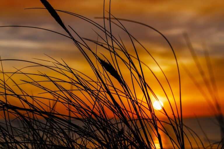 can the game honzava5 be played offline