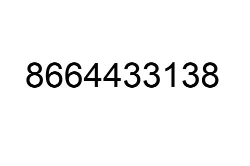 8664433138