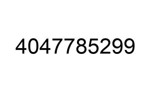 4047785299