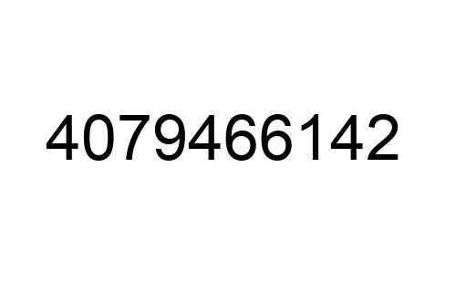 4079466142