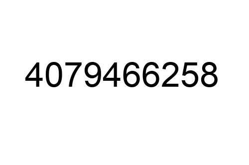 4079466258