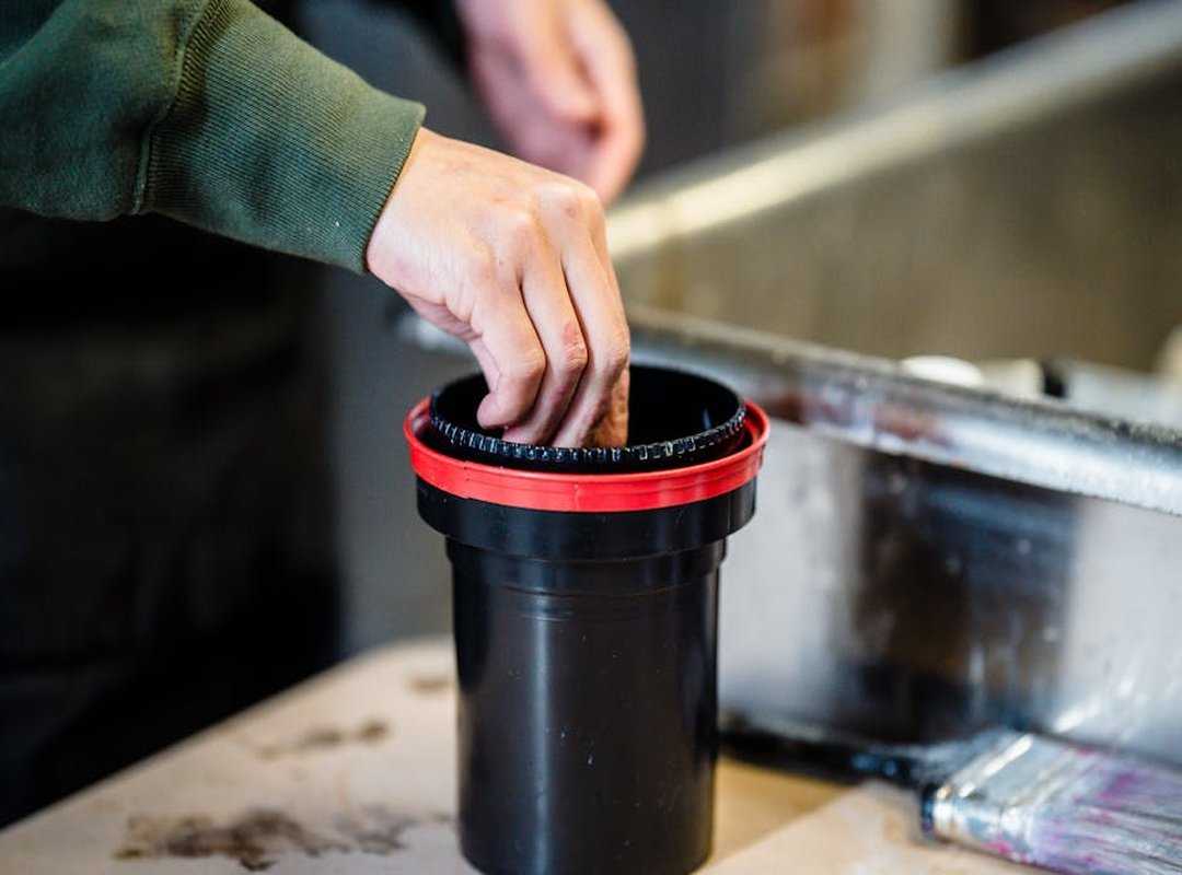 The Digital Darkroom: Crafting Art Through Technique