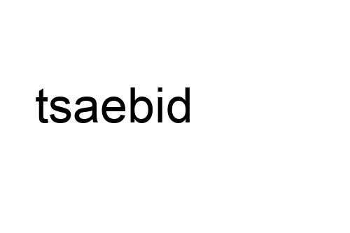 tsaebid
