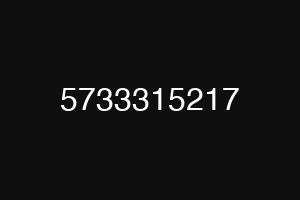 5733315217