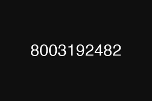 8003192482
