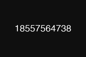 18557564738