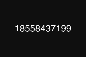 18558437199