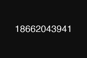 18662043941