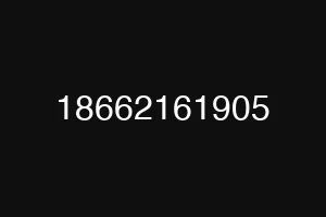 18662161905