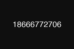 18666772706