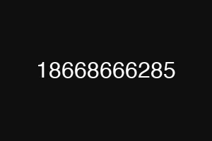 18668666285