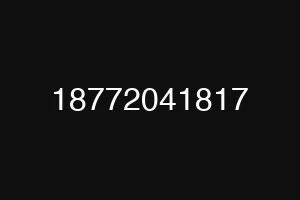 18772041817