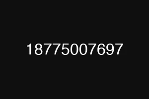 18775007697