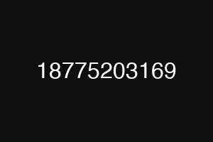 18775203169