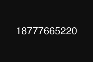 18777665220