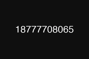 18777708065