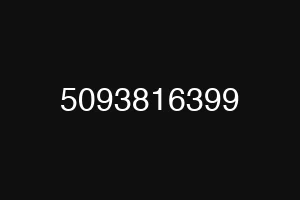 5093816399