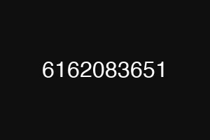 6162083651