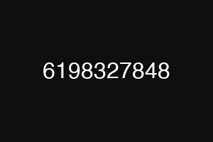 6198327848