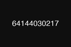 64144030217