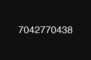 7042770438