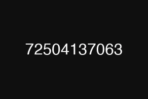 72504137063