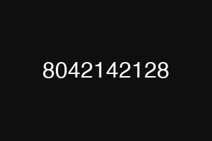 8042142128