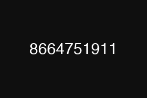 8664751911