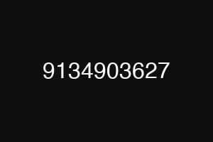 9134903627