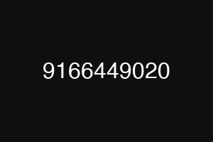 9166449020