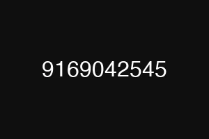 9169042545