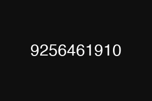 9256461910