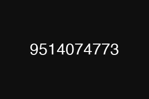 9514074773