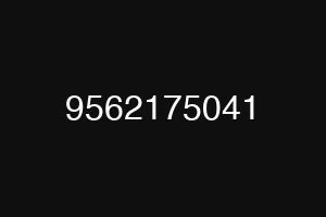9562175041
