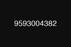 9593004382